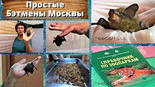 Простые Бэтмены Москвы. Нашел летучую мышь!