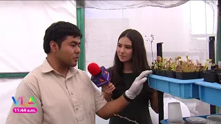 Reportaje de programa  Venga la Alegría de TV Azteca a las Instalaciones de Vitroplantas