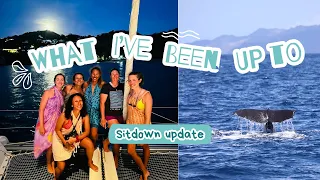 Time for an Update | off season, travels, whales, oh my!