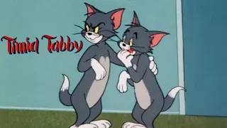 Timid Tabby 1957 Tom and Jerry Cartoon Short Film