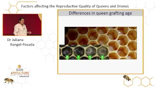 Dr Juliana Rangel Posada - Factors affecting the reproductive quality of queens and drones