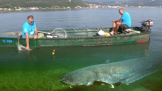 Pecanje soma na Dunavu - Bućka - Tekija - Takmičenje "Zlatna bućka Đerdapa" | Fishing catfish