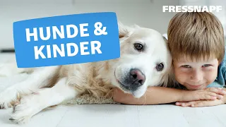 Hunde und Kinder/Babys - Tierisch gute Freunde