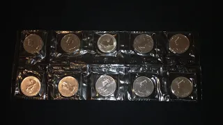 1oz silver coin 1989 Canadian Maple Leaf 🍁 10x...Everybody’s Waifu!