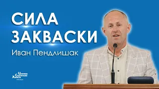 Сила закваски - Иван Пендлишак