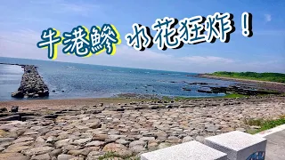 淡水的大學後面釣根魚 突然遭到大瓜瓜瘋狂出線!!! #麥克筆的魚花 #路亞 #浪人鰺#釣場難度B級