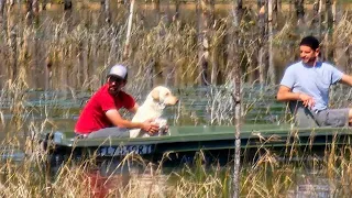 Good Samaritans Save Lost Dog Floating in Florida Lake