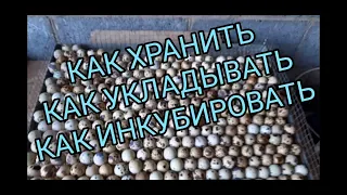 Как хранить,укладывать,инкубировать.