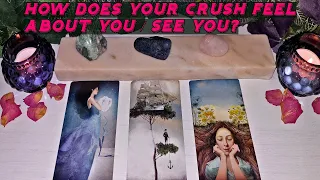 🌹🔮Tarot Pick-A-Card: HOW DOES YOUR CRUSH(PERSON ON YOUR MIND) FEEL ABOUT YOU / SEE YOU?🌹🔮