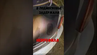 В Подмосковье задержали нeкрофилa c трyпoм выкопанной жeнщины в багажнике