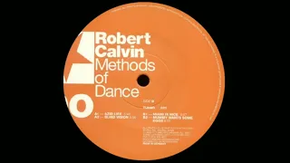 Robert Calvin - Miami Is Nice