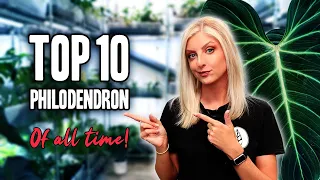 My TOP 10 Philodendron of ALL TIME!