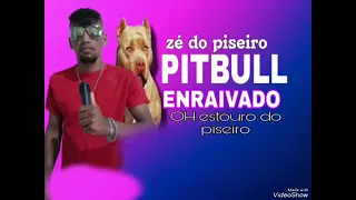 Zé do piseiro. música Pitbull em raivado. OH estouro do piseiro.