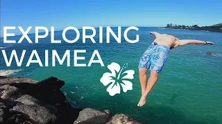 Snorkeling Shark's Cove | Jumping Off Waimea Rock