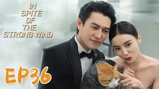 【ENG SUB】In Spite of the Strong Wind 36 纵有疾风起 | Jin Dong, Song Jia