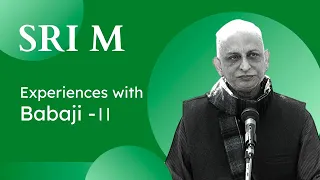 Experiences with Maheshwarnath Babaji (2) | Sri M