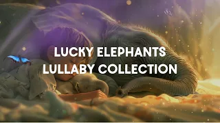 Lucky Elephants Lullaby Collection - Super Relaxing Slow Musicbox Classic Lullaby Songs for Bedtime