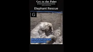 ELEPHANT RESCUE: A veterinarian and national park staff saved an elephant after they performed CPR…