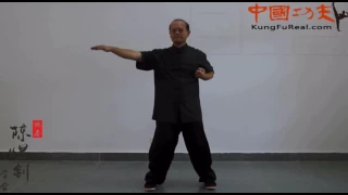 learn wing chun online--- chum kiu form step by step