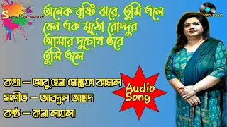 অনেক বৃষ্টি ঝরে তুমি এলে | Onek Bristi Jhore Tumi Ele | Runa Laila | Lp Record Sound