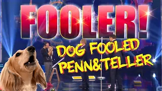 DOG FOOLS PENN & TELLER! Alex Ramon and MJ on Penn & Teller Fool-Us// Season 8