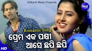 Prema Eka Pakhi Aase Chhapi Chhapi - Romantic Album Song | Kumar Sanu | ପ୍ରେମ ଏକ ପକ୍ଷୀ |  Sidharth