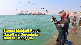 HEBOH‼️Semua Menjadi Rusuh Saling Berteriak Putus Ketika Ada Pemancing Yang Strike Ikan Ini