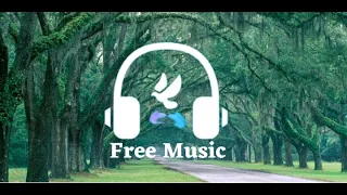 Free background music...//No Copyright Video Stock  ||  Nature Videos480p