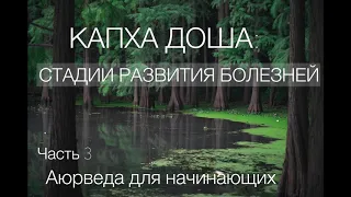 Капха Доша: Стадии Развития Болезней. Часть 3. Аюрведа для начинающих.