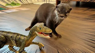 Otter vs Dinosaur