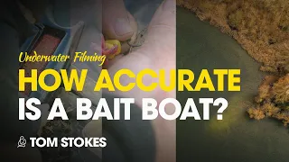 How Accurate Is A Bait Boat? Tom Stokes
