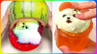 Tik Tok Chó Phốc Sóc Mini 2023 😍 Funny and Cute Pomeranian #472