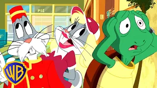 Looney Tunes in Italiano 🇮🇹 | La Vendetta di Bugs | WB Kids