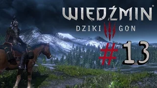 Wiedźmin 3: Dziki Gon - Poszukiwania Filippy Eilhart #13 - Gry przerwane