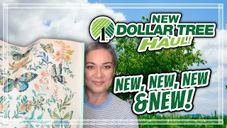 *** NEW Dollar Tree Haul ***IONI MAKEUP NEVER SEEN BEFORE. ***NEW**NEW***MUST SEE 4/10/24