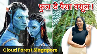 Cloud Forest Singapore | Best places to visit in Singapore | Gardens by the Bay | Avatar Garden