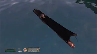 Creating a Human Tarp in Oblivion