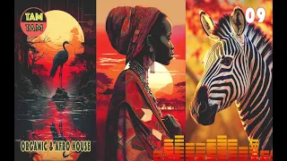 Organic & Afro House | Keinemusik | Roy Rosenfeld | Jain | Drake | Libianca | Kelis | Stromae