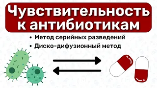 Чувствительность к антибиотикам: диско-дифузионный метод, метод серийных разведений / Микробиология