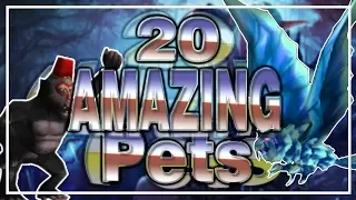 20 AMAZING LOOKING HUNTER PETS│World of Warcraft