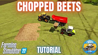 PRODUCING CUT SUGARBEETS - Farming Simulator 22