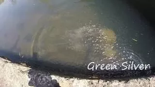 Fire Cracker underwater Slow Motion