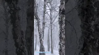 Зимняя сказка открывается на Ай-Петри. Крым за снегом в горы! #крым #ялта #отдых #новыйгод2023