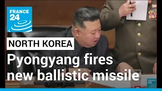 North fires ballistic missile into sea between Koreas, Japan • FRANCE 24 English