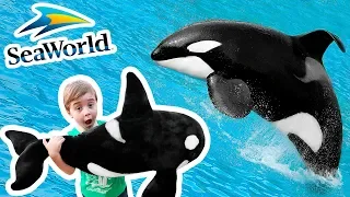 BALEIA NO SEA WORLD DE ORLANDO!! Família Brancoala no Parque Temático