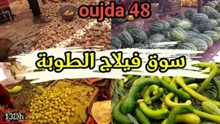 جولة اليوم في أكبر سوق أسبوعي في مدينة وجدة | فيلاج الطوبة سوق الأحد Oujda