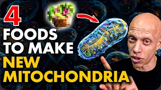 4 Foods to Make New Mitochondria (Scientific Proof) | Mastering Diabetes