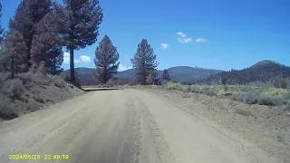 Ryker on graded dirt road flat part