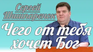 Сергей Шишпаренок - Чего от тебя хочет Бог | Проповедь