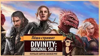 Divinity: Original Sin II: первый запуск свежей ролевой игры